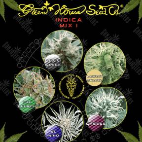 Семена марихуаны Indica Mix I feminised Green House Seeds