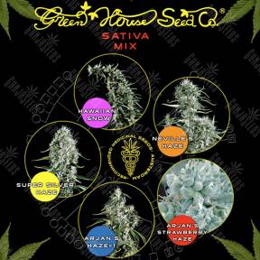 Семена Sativa Mix feminised Green House Seeds