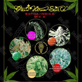 Семена конопли Sativa/Indica Mix A feminised Green House Seeds