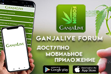 GanjaLive представляет первое мобильное приложение для форума