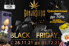 Black Friday в интернет-магазине GanjaSeeds: обвал цен и большие возможности